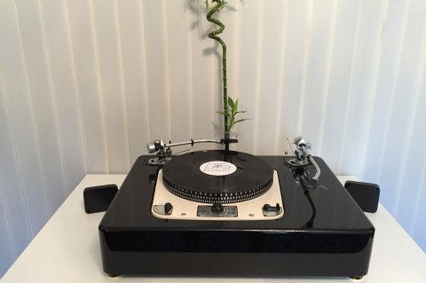 G301 TWO TONEARM VERSION