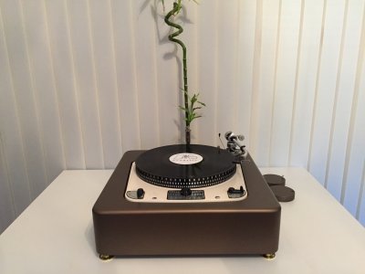 Garrard 301 9